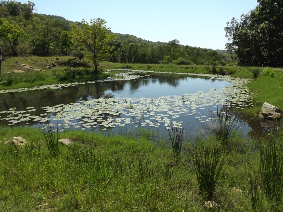 Commercial Property for Sale in Barberton Mpumalanga