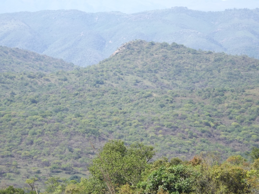 Commercial Property for Sale in Barberton Mpumalanga