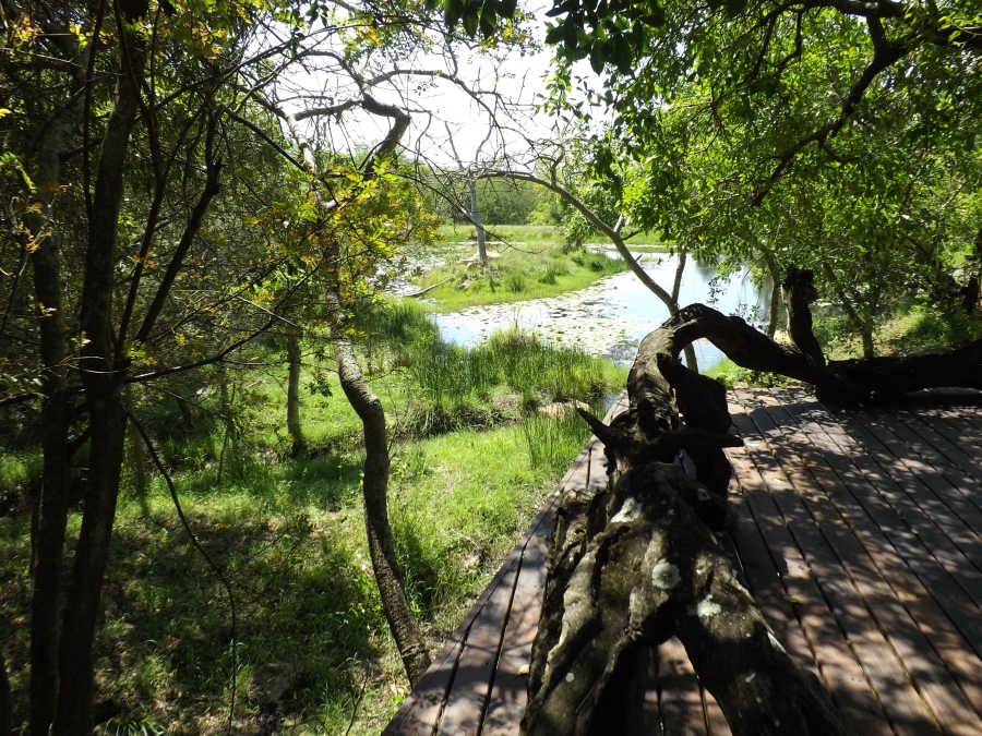 Commercial Property for Sale in Barberton Mpumalanga