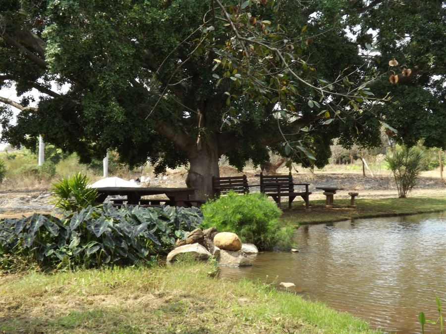 Commercial Property for Sale in Kaapmuiden Mpumalanga
