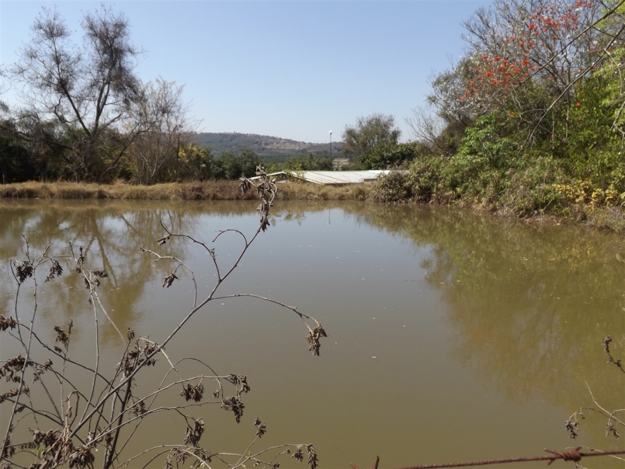 Commercial Property for Sale in White River Mpumalanga