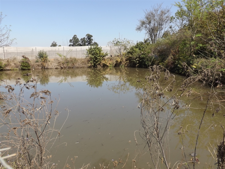 Commercial Property for Sale in White River Mpumalanga