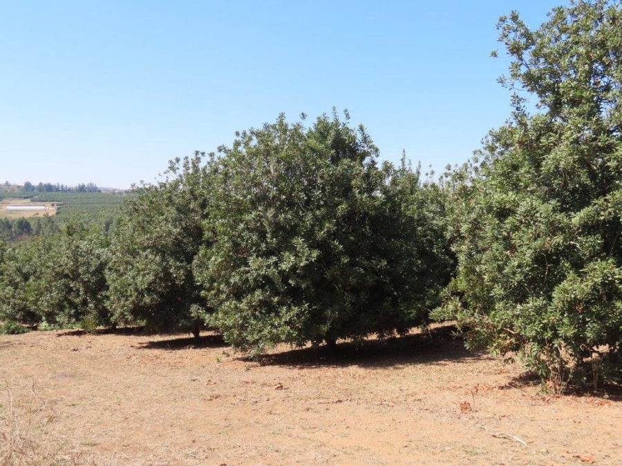 Commercial Property for Sale in White River Mpumalanga