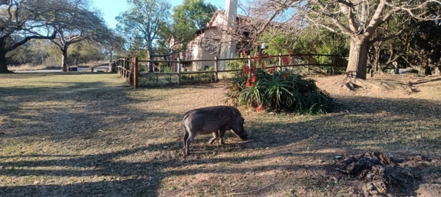 5 Bedroom Property for Sale in Wild Fig Country Estate Mpumalanga