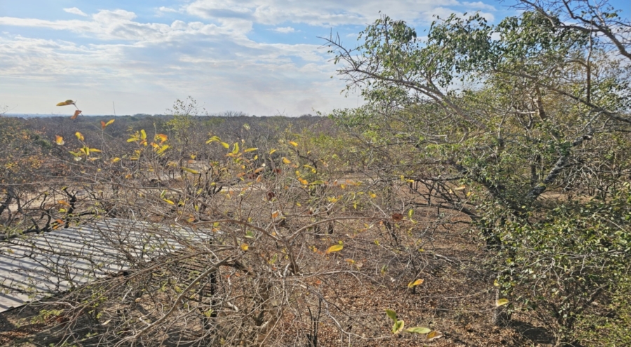 2 Bedroom Property for Sale in Marloth Park Mpumalanga