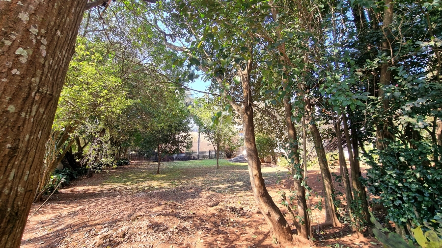 4 Bedroom Property for Sale in Sabie Mpumalanga