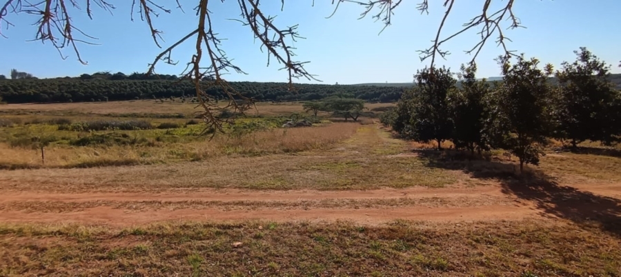 3 Bedroom Property for Sale in White River Ext 18 Mpumalanga