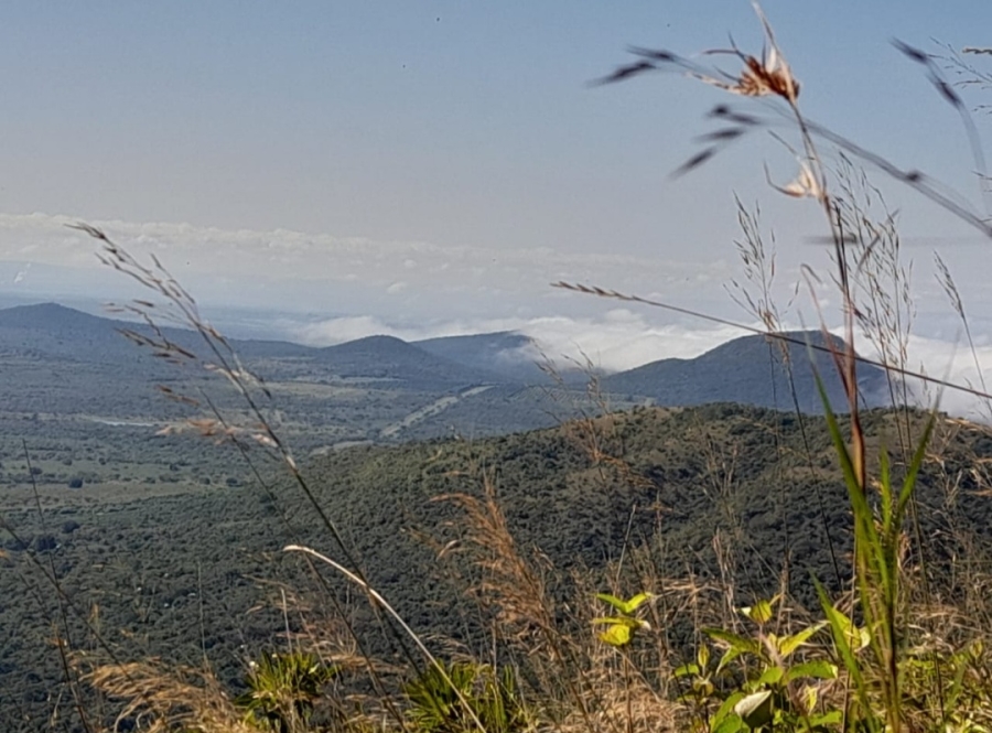 Commercial Property for Sale in Malelane Rural Mpumalanga