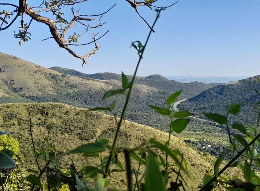 Commercial Property for Sale in Malelane Rural Mpumalanga