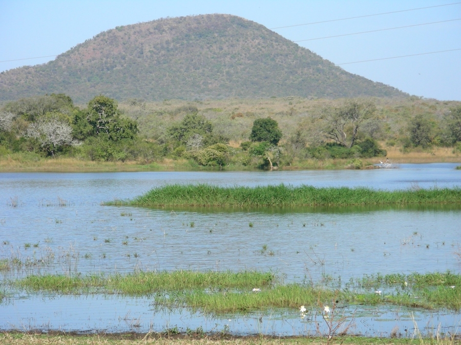 Commercial Property for Sale in Malelane Rural Mpumalanga
