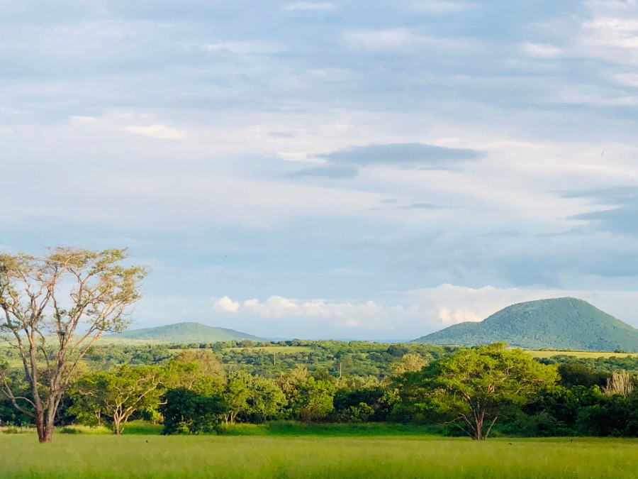 Commercial Property for Sale in Malelane Rural Mpumalanga