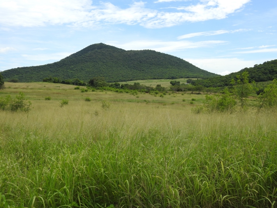 Commercial Property for Sale in Malelane Rural Mpumalanga