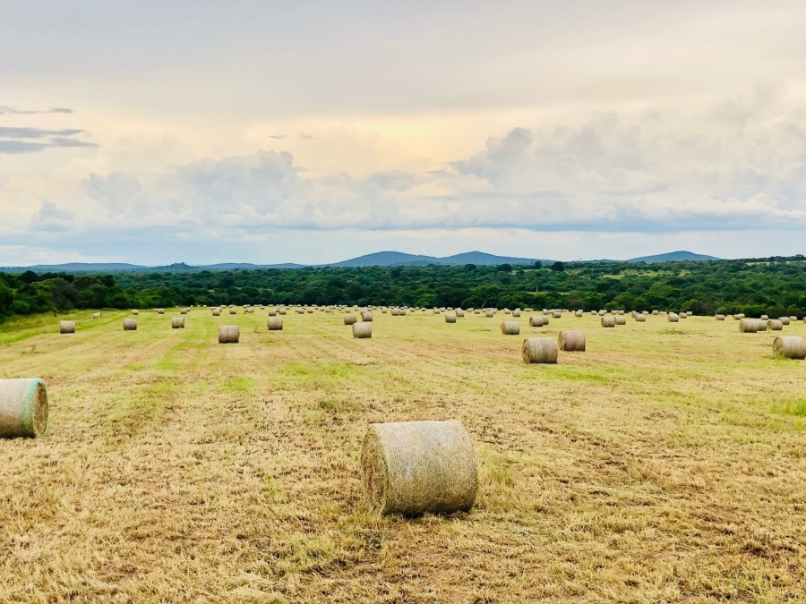 Commercial Property for Sale in Malelane Rural Mpumalanga