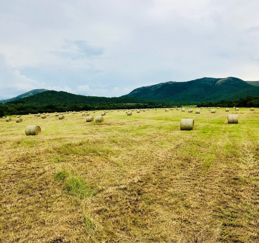 Commercial Property for Sale in Malelane Rural Mpumalanga