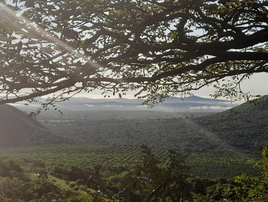 Commercial Property for Sale in Malelane Rural Mpumalanga