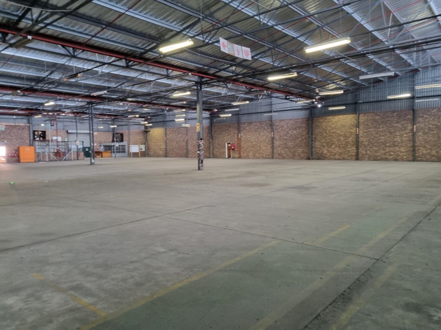 To Let commercial Property for Rent in Rocky Drift Mpumalanga