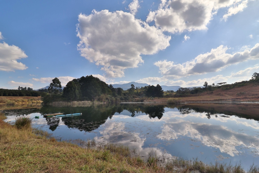 Commercial Property for Sale in Barberton Rural Mpumalanga