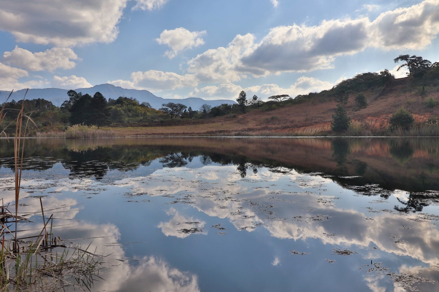 Commercial Property for Sale in Barberton Rural Mpumalanga