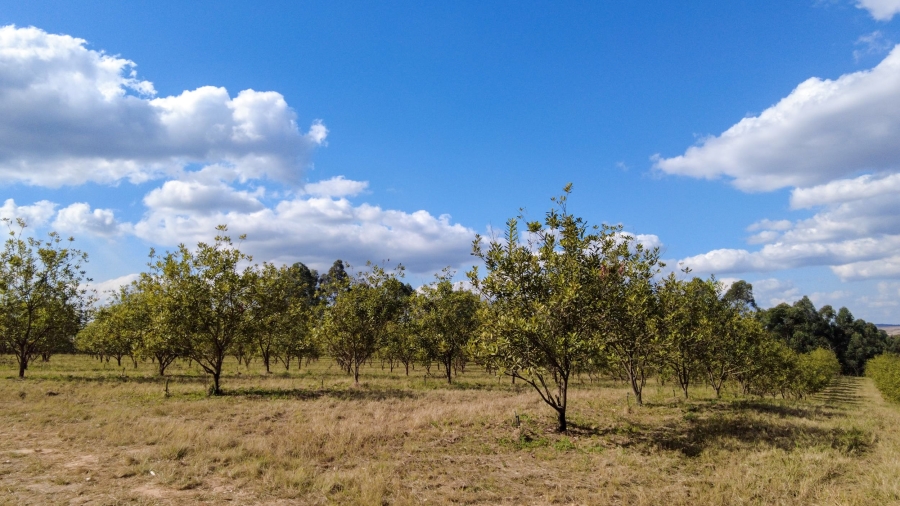 Commercial Property for Sale in Barberton Rural Mpumalanga