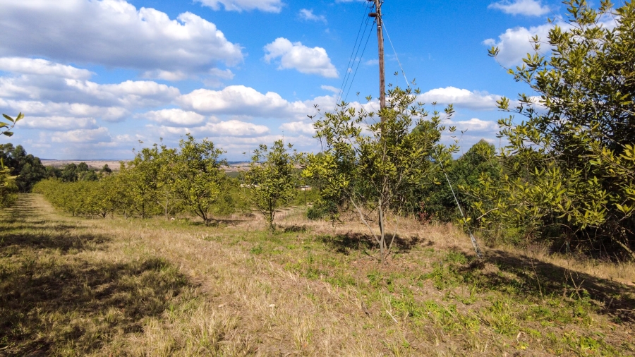 Commercial Property for Sale in Barberton Rural Mpumalanga