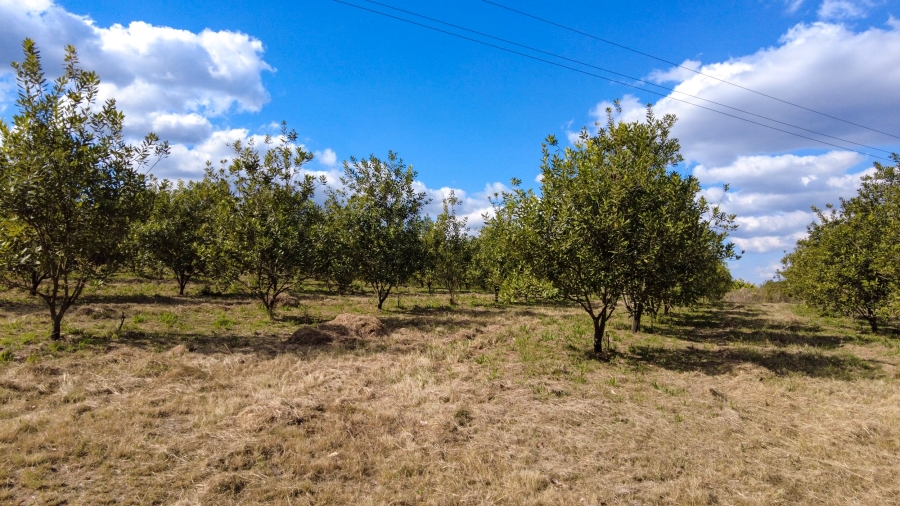Commercial Property for Sale in Barberton Rural Mpumalanga