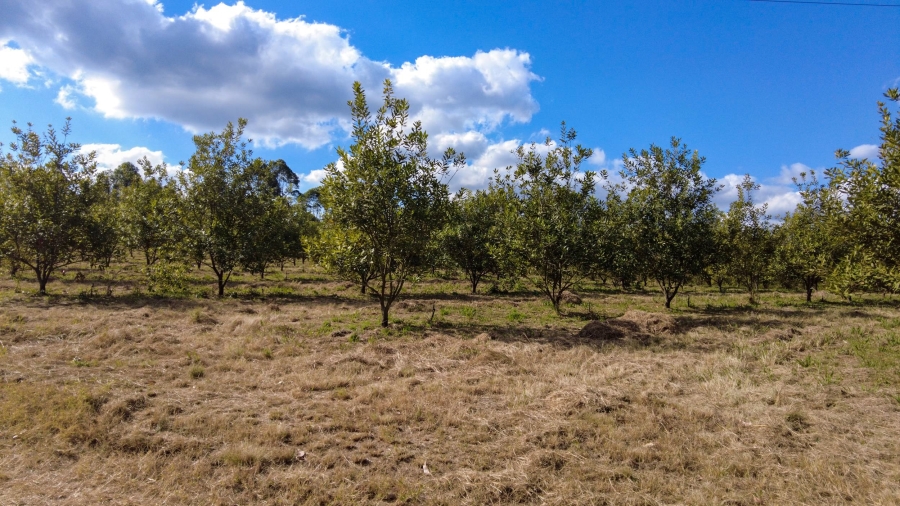 Commercial Property for Sale in Barberton Rural Mpumalanga