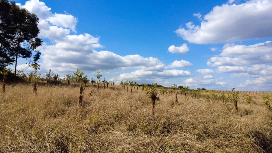 Commercial Property for Sale in Barberton Rural Mpumalanga