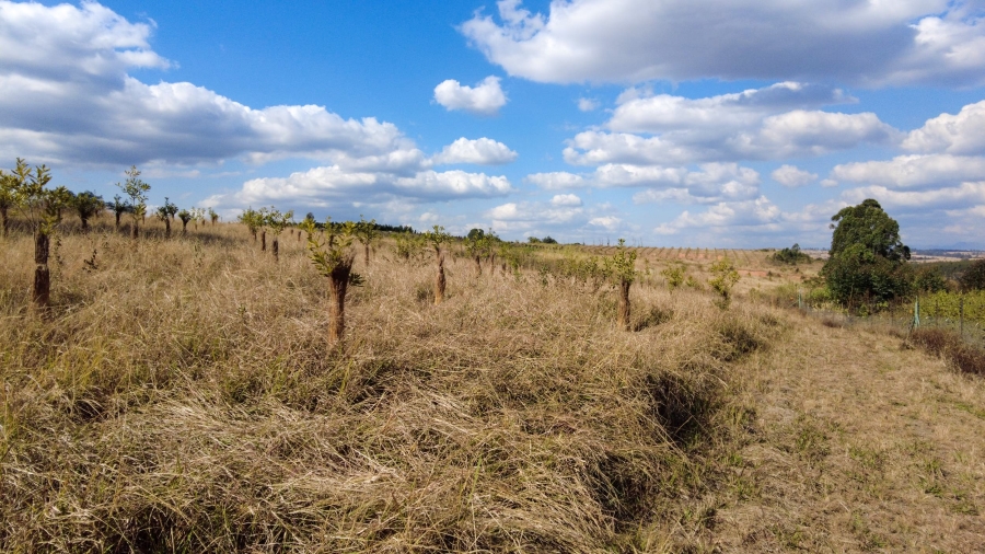 Commercial Property for Sale in Barberton Rural Mpumalanga