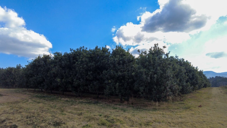 Commercial Property for Sale in Barberton Rural Mpumalanga