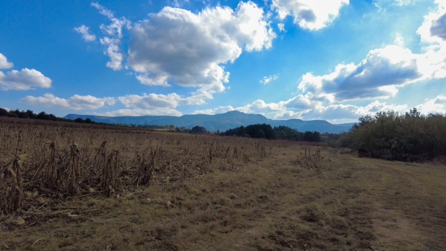Commercial Property for Sale in Barberton Rural Mpumalanga