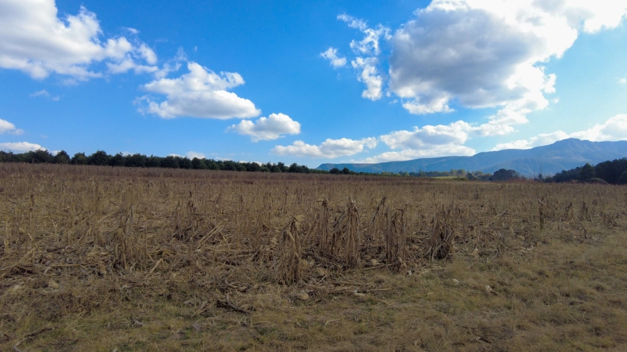 Commercial Property for Sale in Barberton Rural Mpumalanga