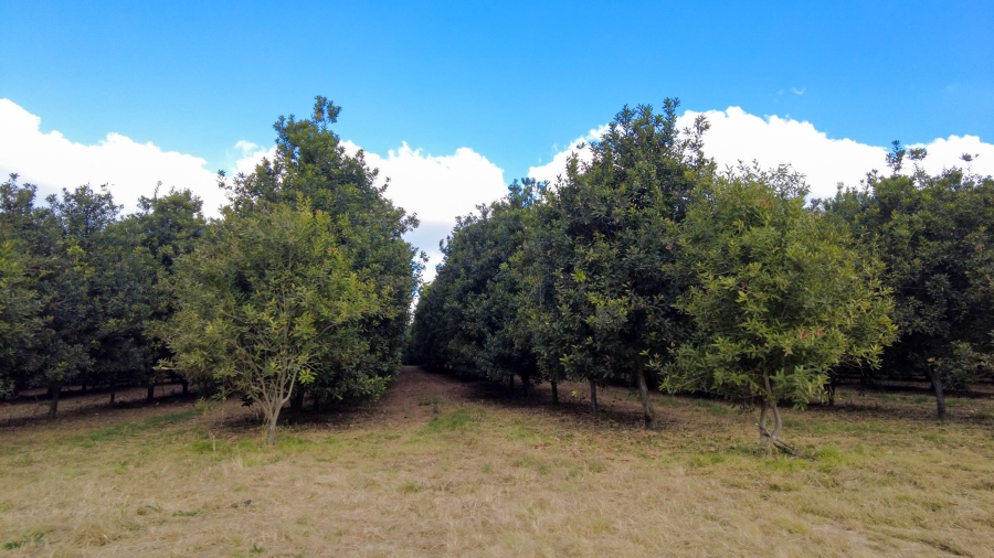 Commercial Property for Sale in Barberton Rural Mpumalanga