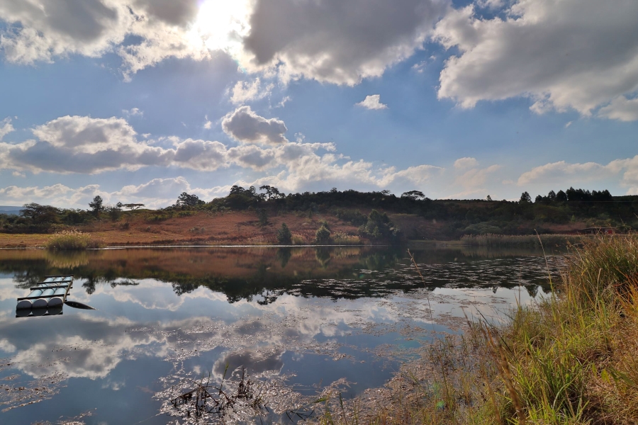 Commercial Property for Sale in Barberton Rural Mpumalanga