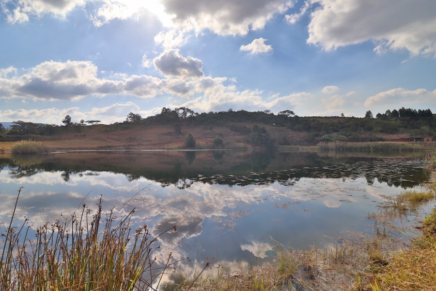 Commercial Property for Sale in Barberton Rural Mpumalanga