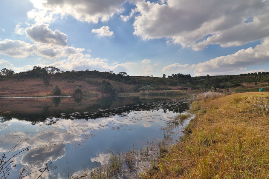 Commercial Property for Sale in Barberton Rural Mpumalanga