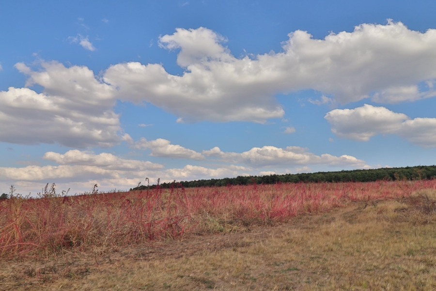 Commercial Property for Sale in Barberton Rural Mpumalanga