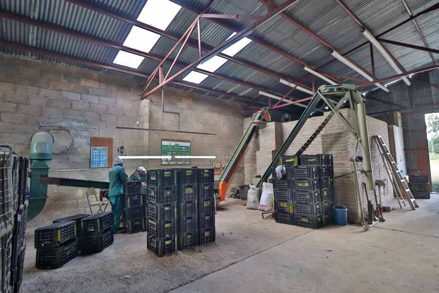 Commercial Property for Sale in Barberton Rural Mpumalanga