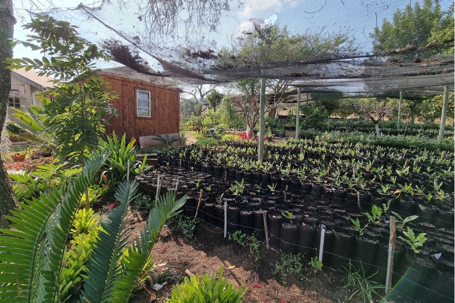 4 Bedroom Property for Sale in Nelspruit Rural Mpumalanga