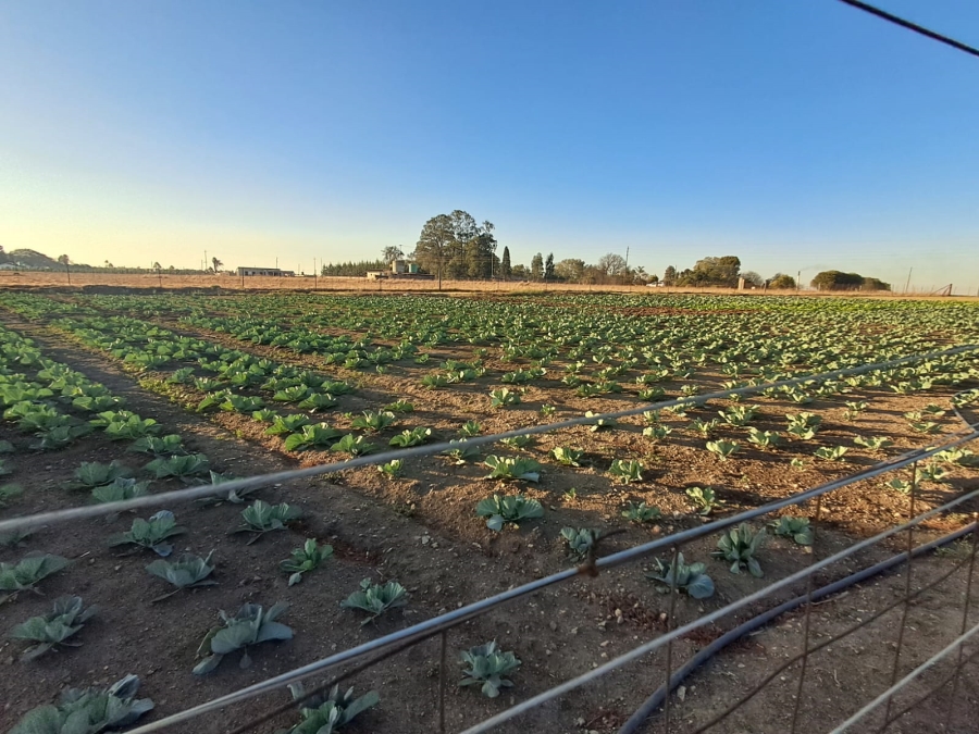 Commercial Property for Sale in Piet Retief Rural Mpumalanga