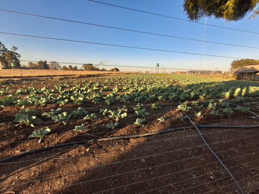 Commercial Property for Sale in Piet Retief Rural Mpumalanga