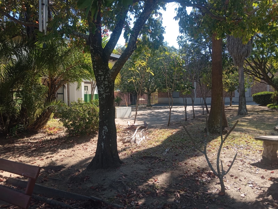 To Let commercial Property for Rent in Rocky Drift Mpumalanga