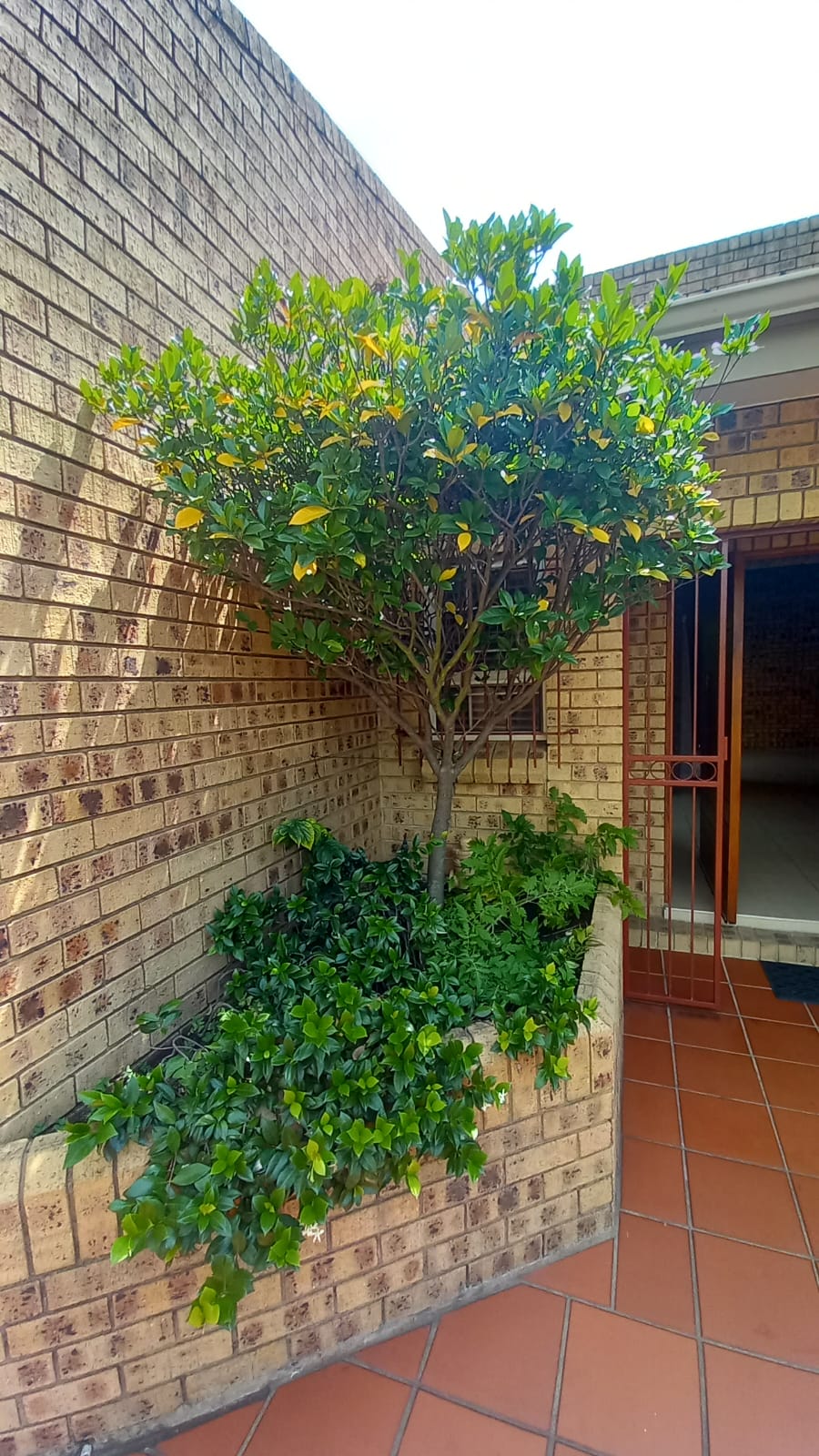 4 Bedroom Property for Sale in Secunda Mpumalanga