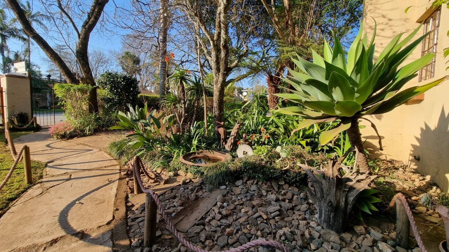 10 Bedroom Property for Sale in Graskop Mpumalanga