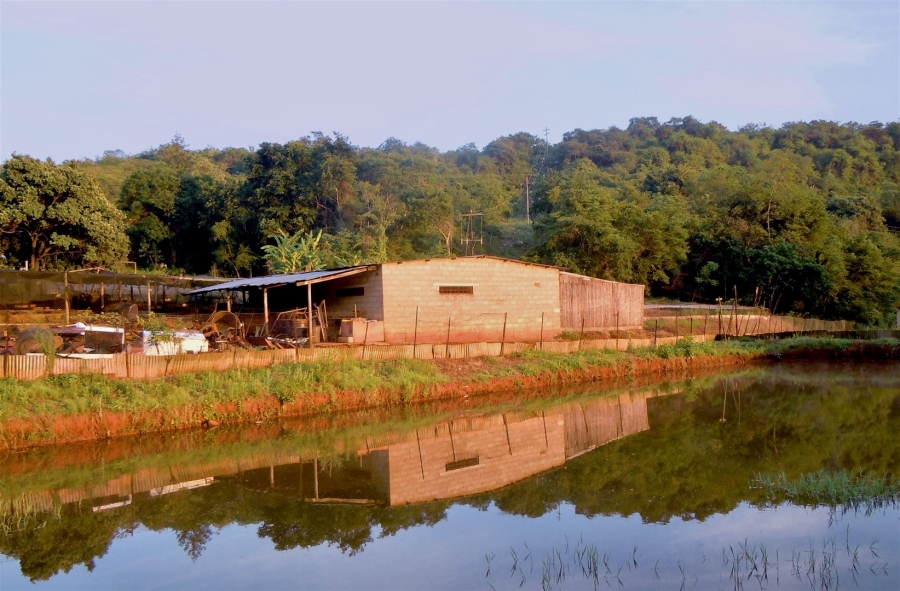 Commercial Property for Sale in Nelspruit Rural Mpumalanga