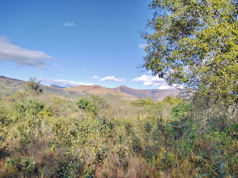 Commercial Property for Sale in Nelspruit Rural Mpumalanga