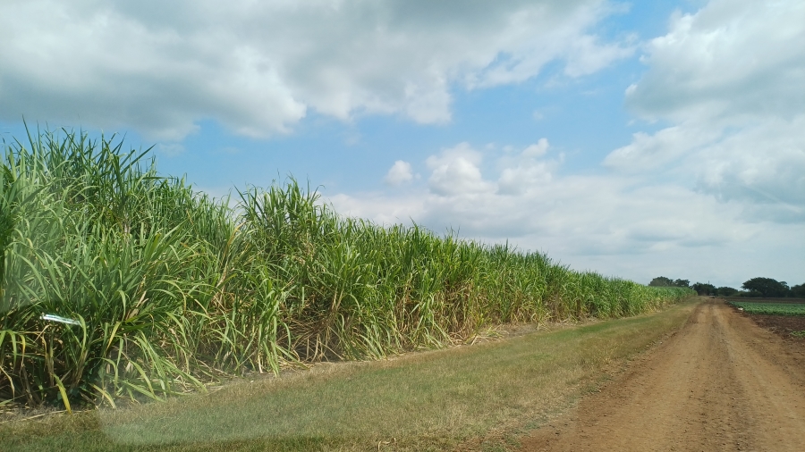 Commercial Property for Sale in Komatipoort Mpumalanga