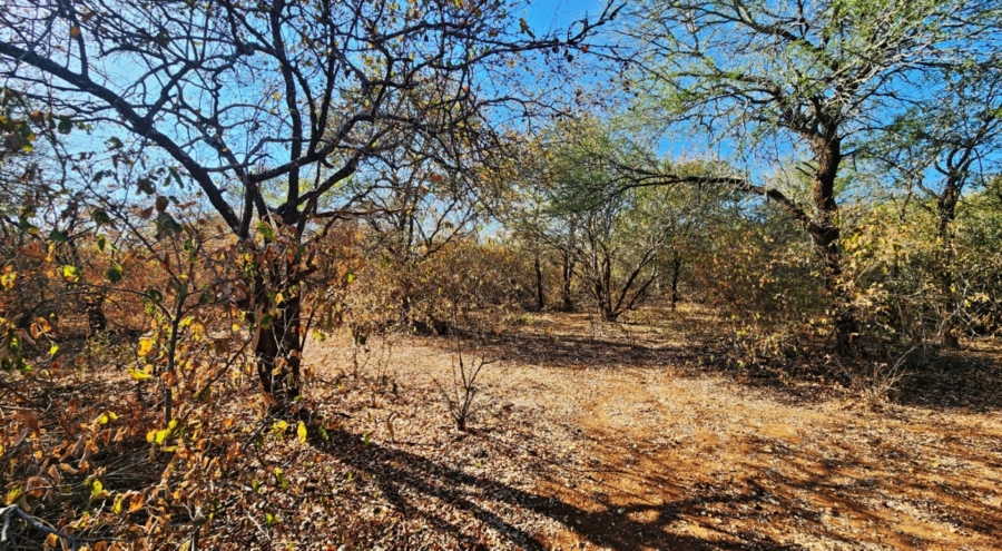 0 Bedroom Property for Sale in Marloth Park Mpumalanga