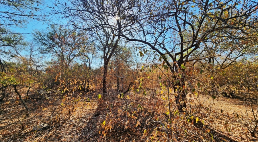 0 Bedroom Property for Sale in Marloth Park Mpumalanga