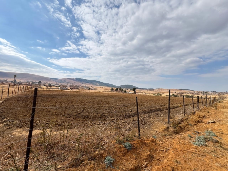 0 Bedroom Property for Sale in Amsterdam Mpumalanga