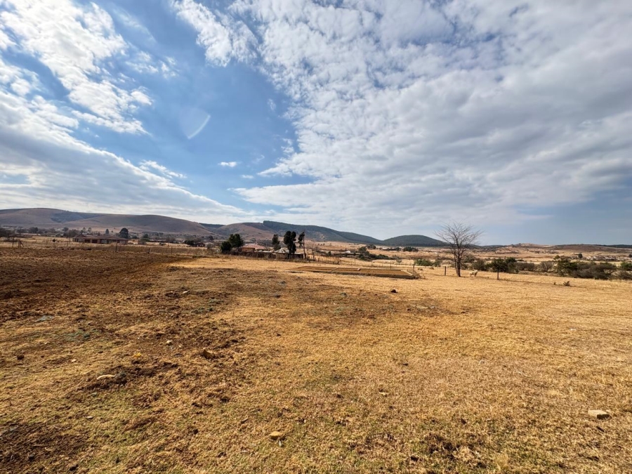 0 Bedroom Property for Sale in Amsterdam Mpumalanga